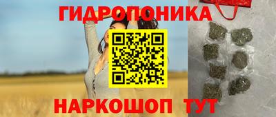 spice Абакан