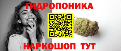 spice Абакан